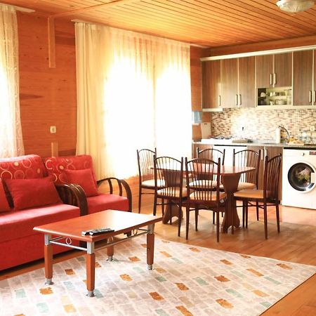 איידר יאילאסי Villa Zafran מראה חיצוני תמונה