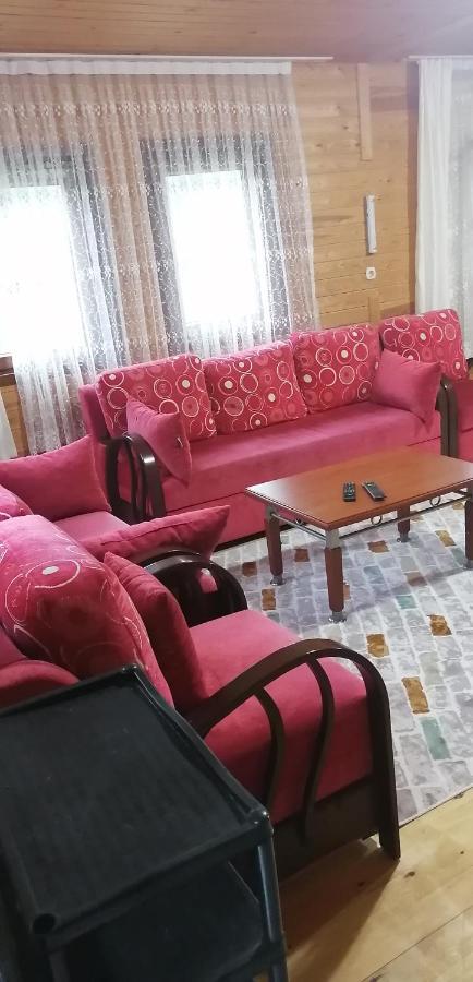 איידר יאילאסי Villa Zafran מראה חיצוני תמונה