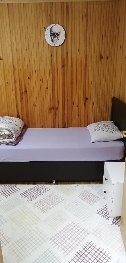 איידר יאילאסי Villa Zafran מראה חיצוני תמונה