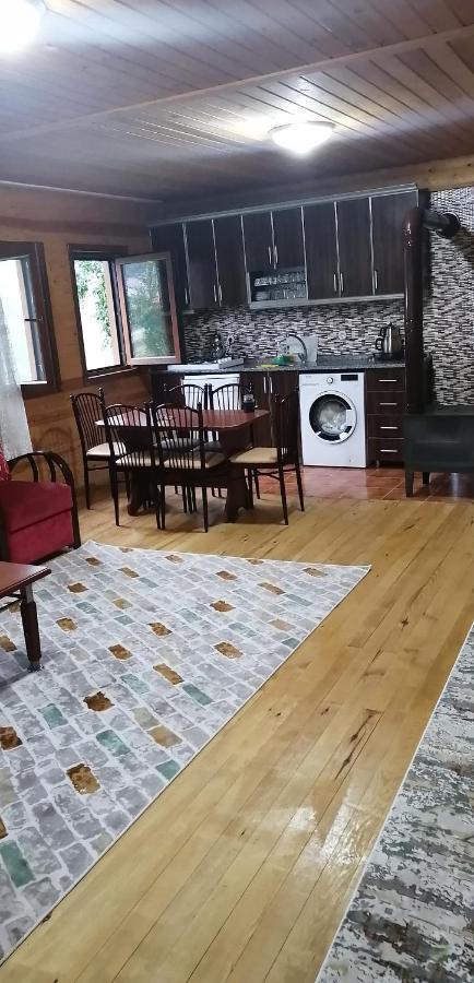 איידר יאילאסי Villa Zafran מראה חיצוני תמונה
