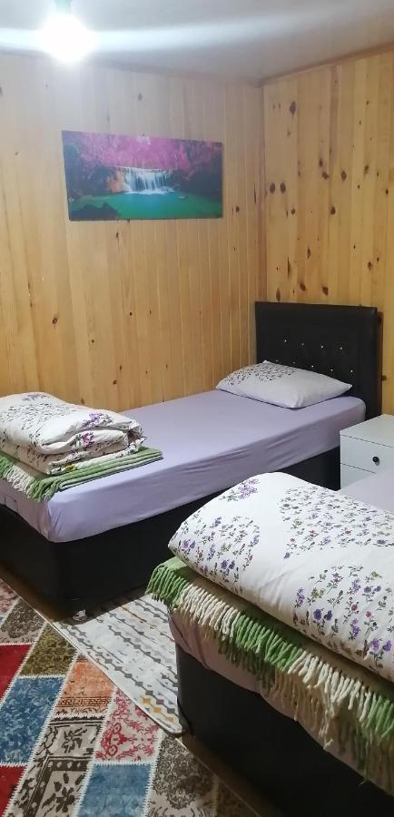 איידר יאילאסי Villa Zafran מראה חיצוני תמונה