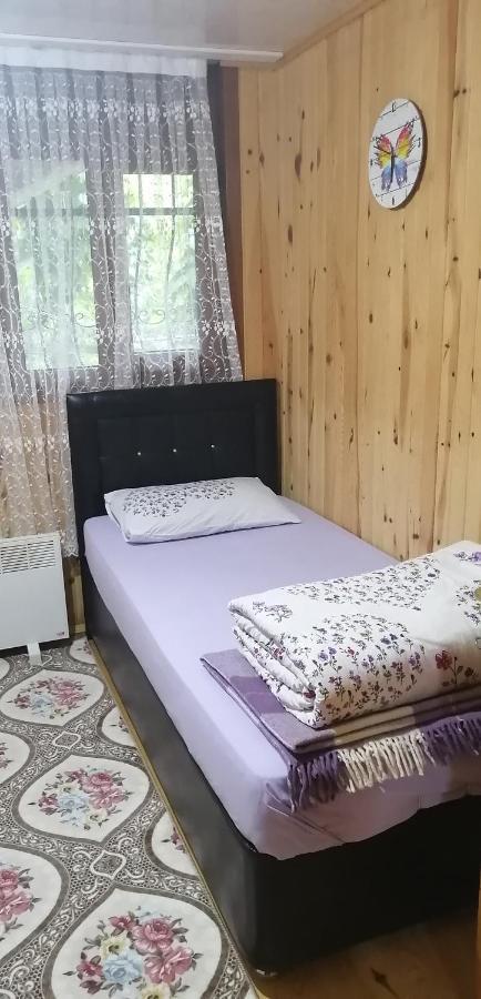 איידר יאילאסי Villa Zafran מראה חיצוני תמונה