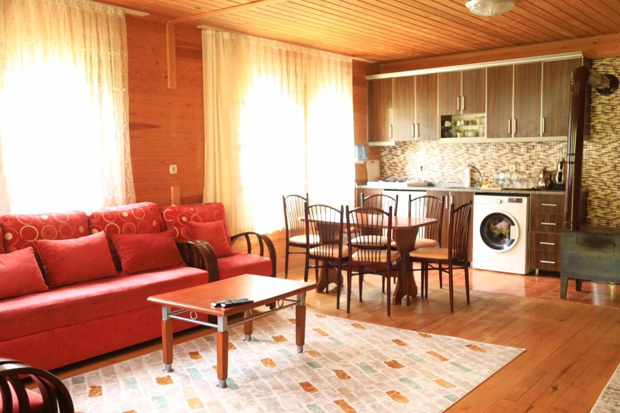 איידר יאילאסי Villa Zafran מראה חיצוני תמונה