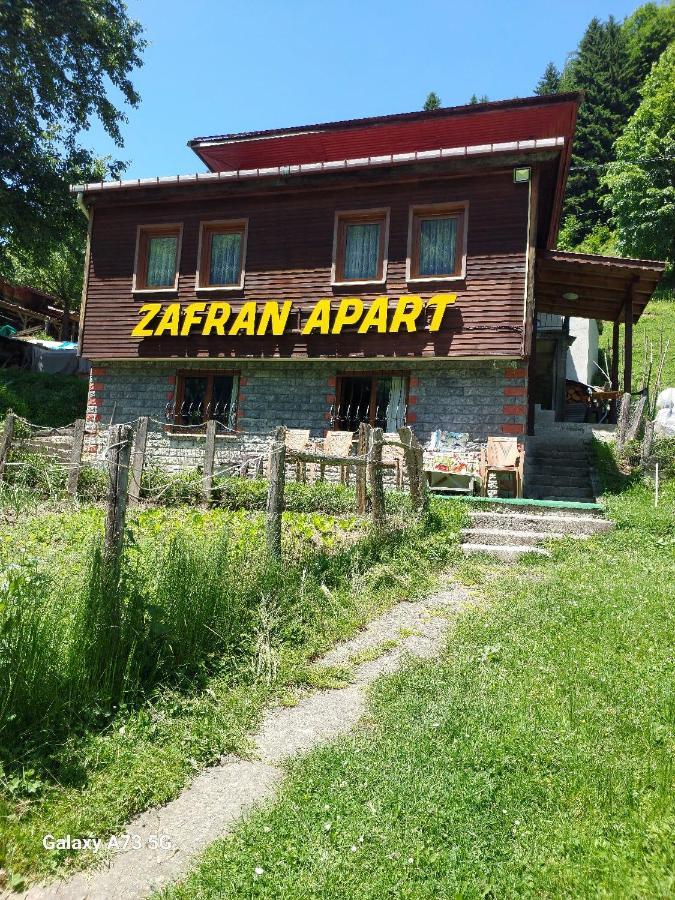 איידר יאילאסי Villa Zafran מראה חיצוני תמונה